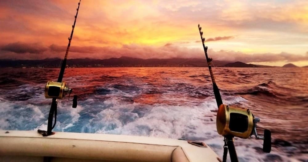 Shared Charter - Full Day