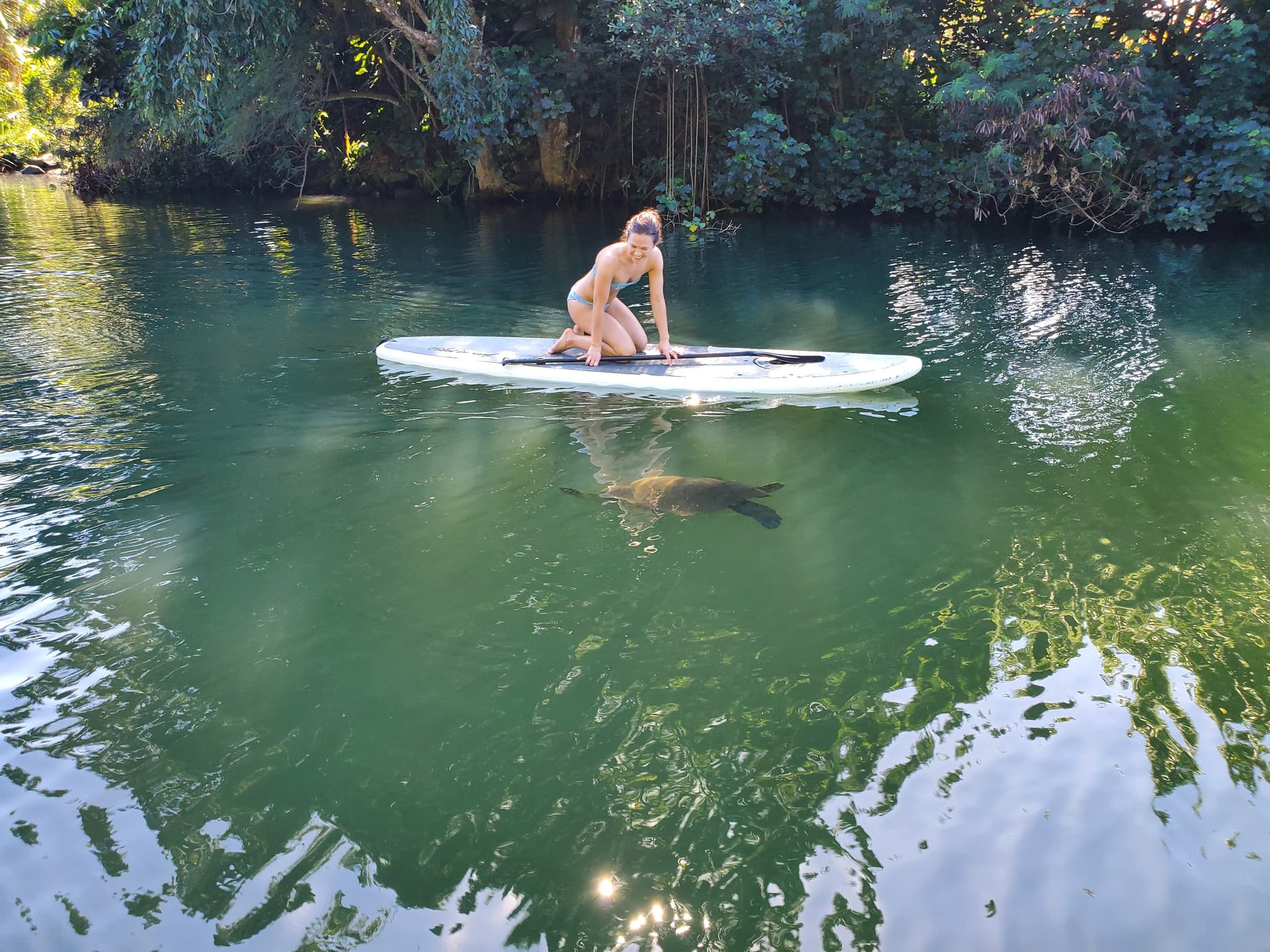 Nature & Turtle Tour