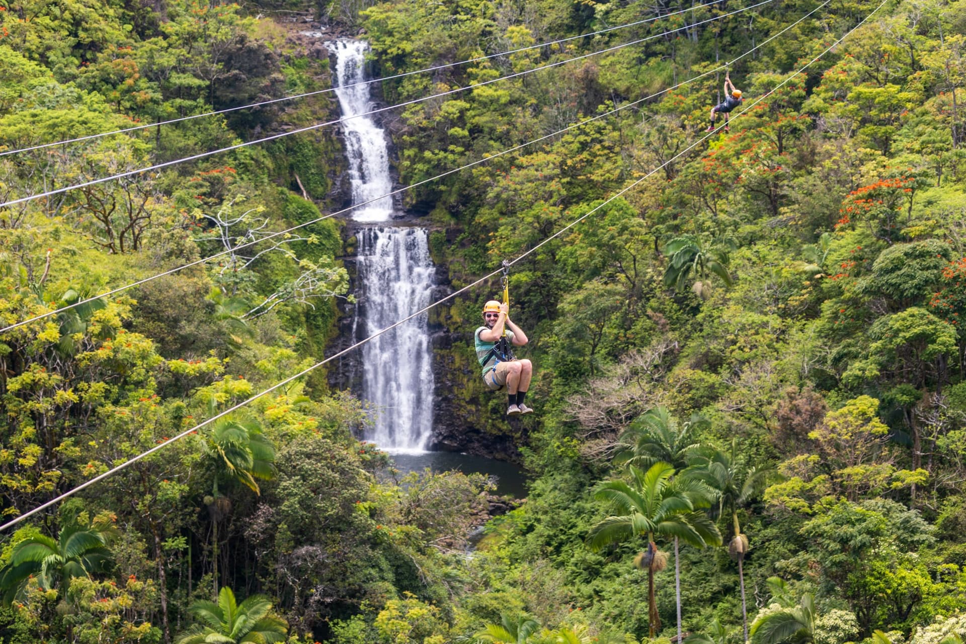 Zip Line at Botanical World Adventures (Approximately 2.5 Hours)