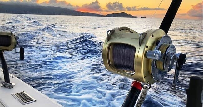 Private Charter - Full Day