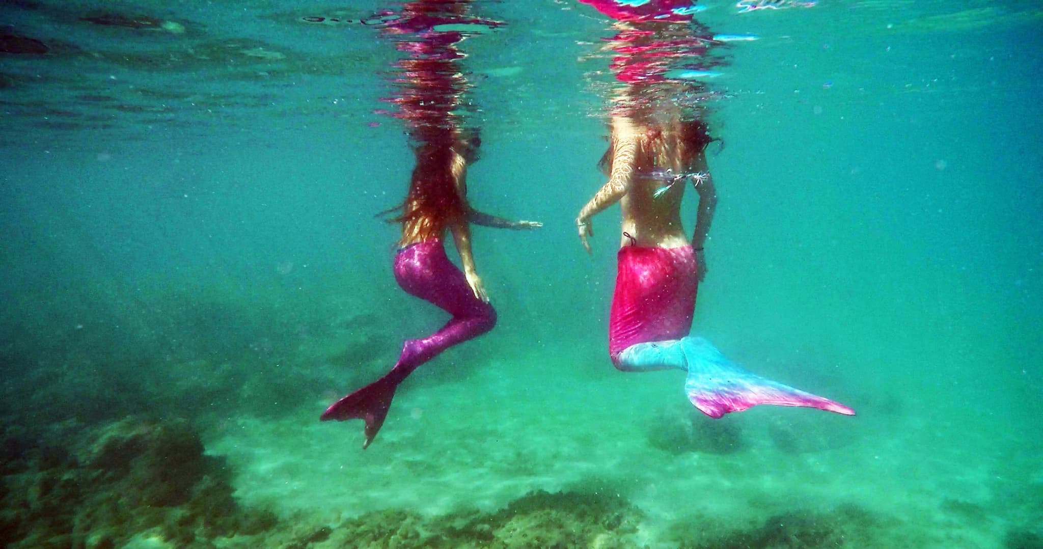 Mermaid Snorkel Tour & Photo Shoot - Honolulu