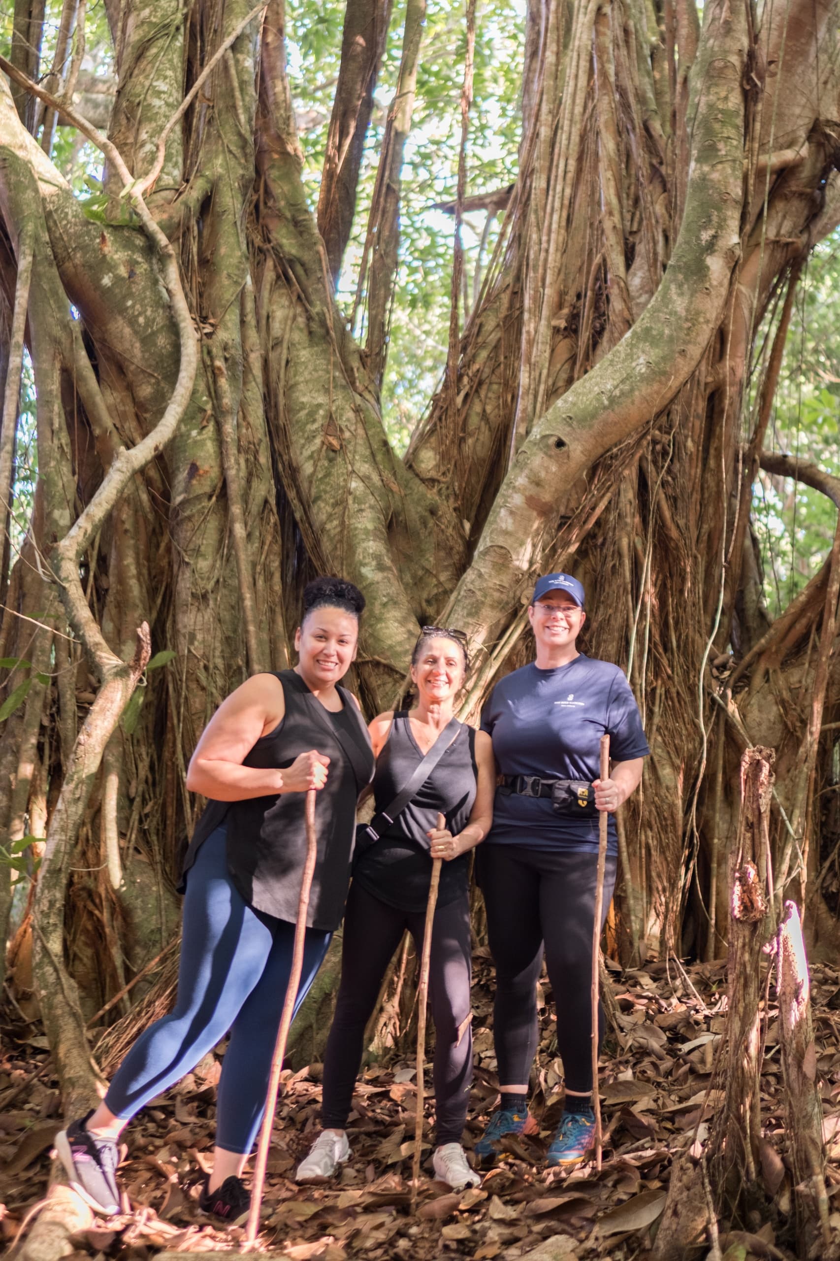 Honolua Ridgeline Hike: A Conservation Experience