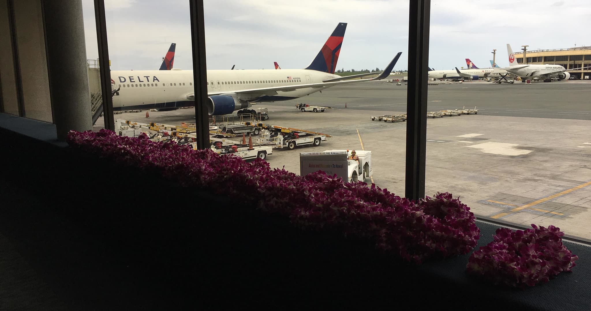 Airlines ~ Arrivals & Departures