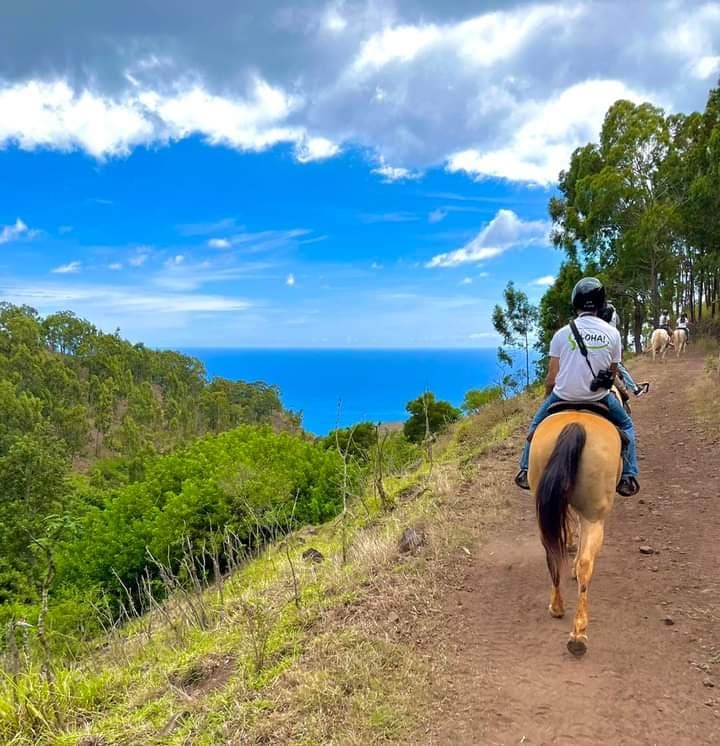 Sunshine Horseback Ride