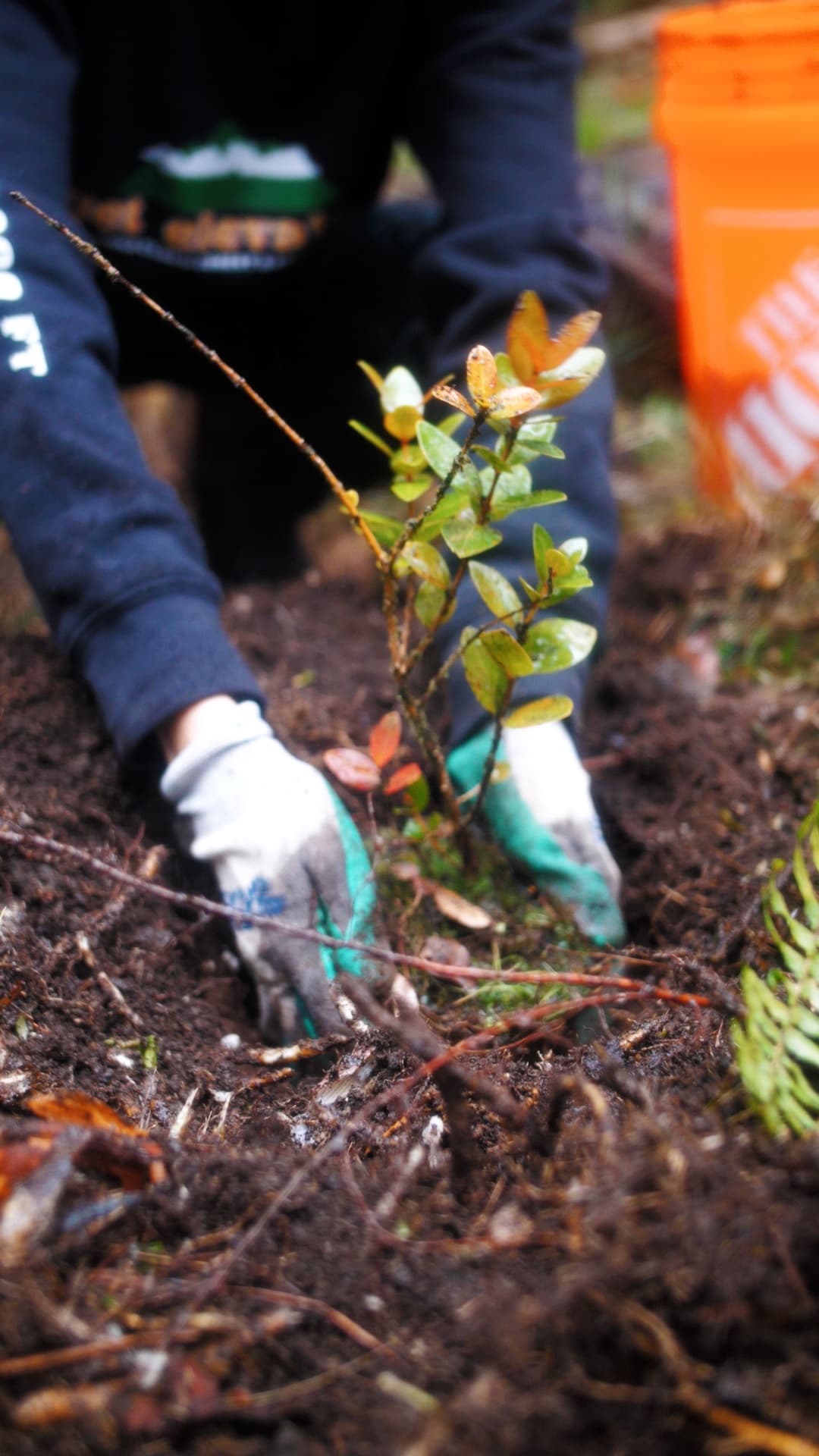 Mālama 'Āina Service Event
