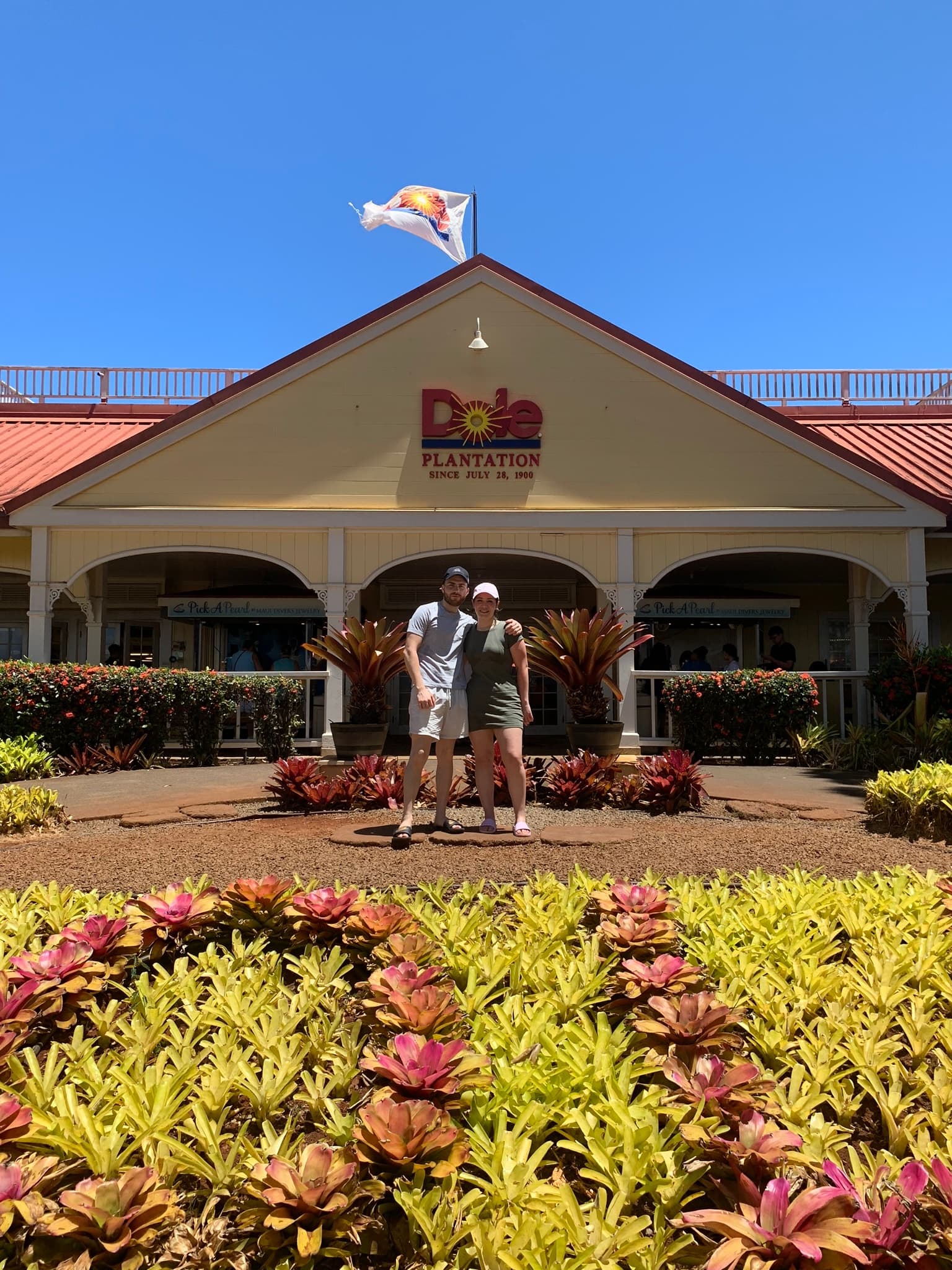 Tour of North Shore & Waimea Waterfall and Pali Lookout