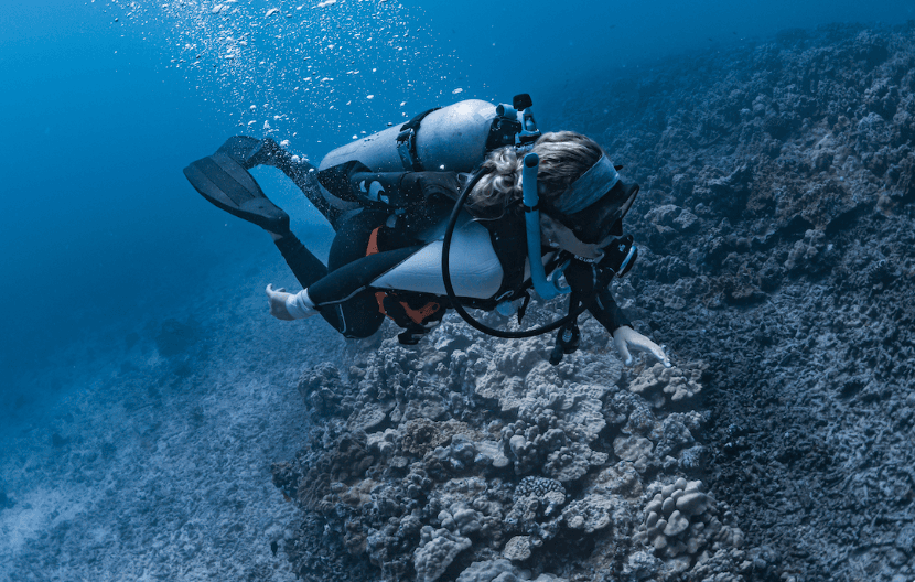 Semi-Private  Boat 2 Tank Discover Scuba Dive Experience!