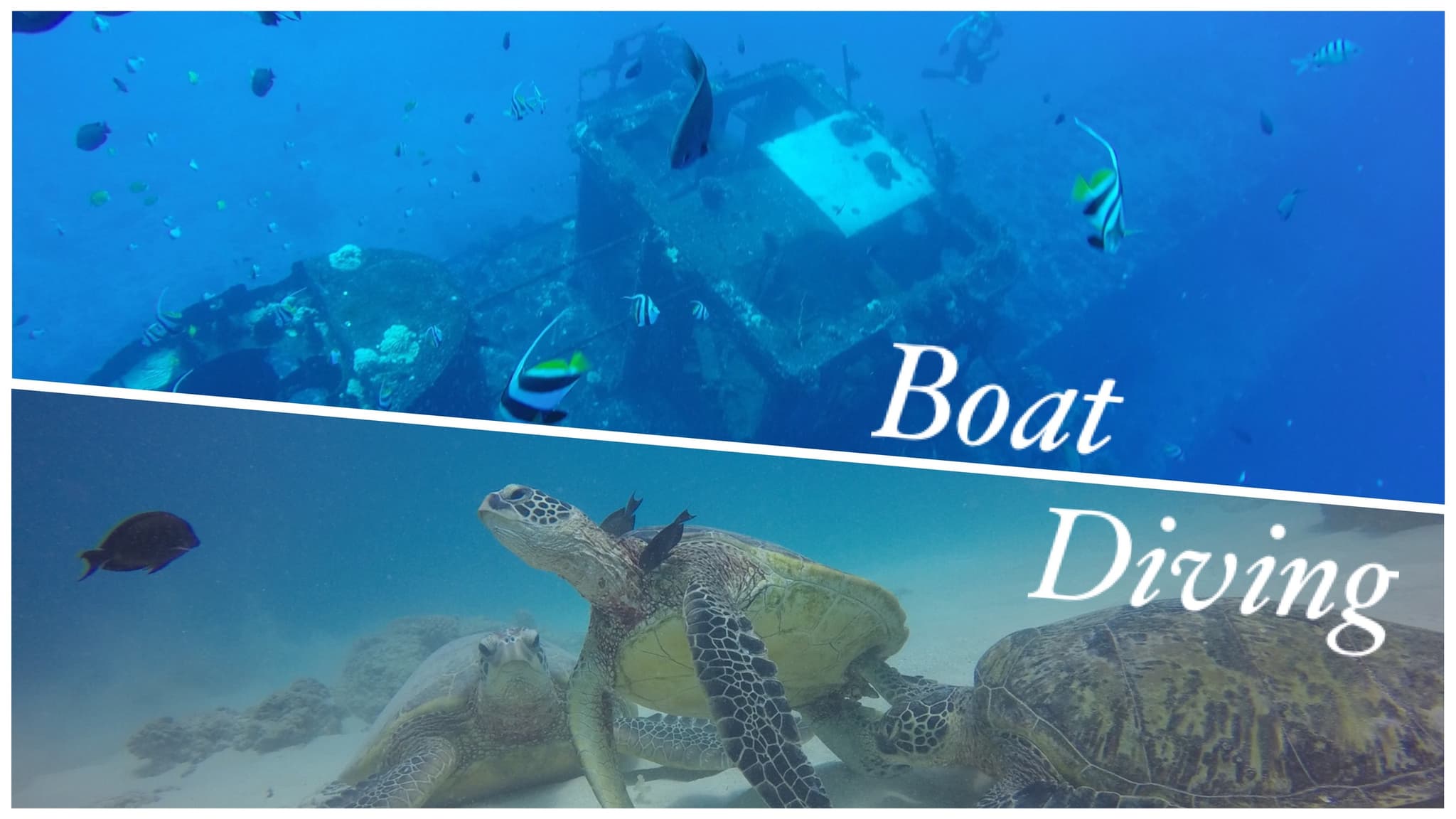 ミックスダイビングプラン