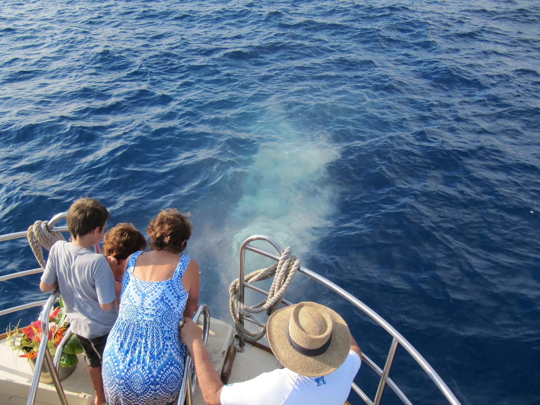 Ash Scatterings at Sea (Honokohau Harbor Departure)