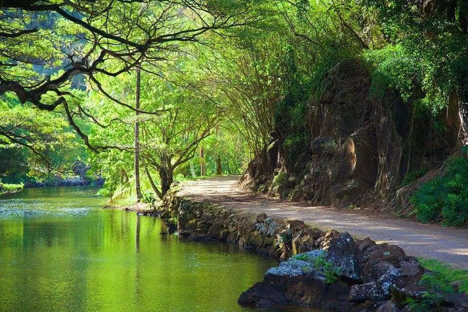 McBryde Garden Self Guided