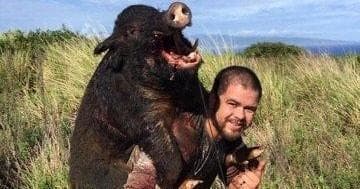 Maui Wild Boar Hunting