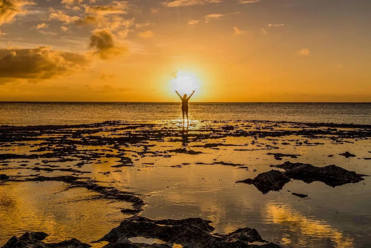 Honolulu Sea-Cliff Tour with Sunset