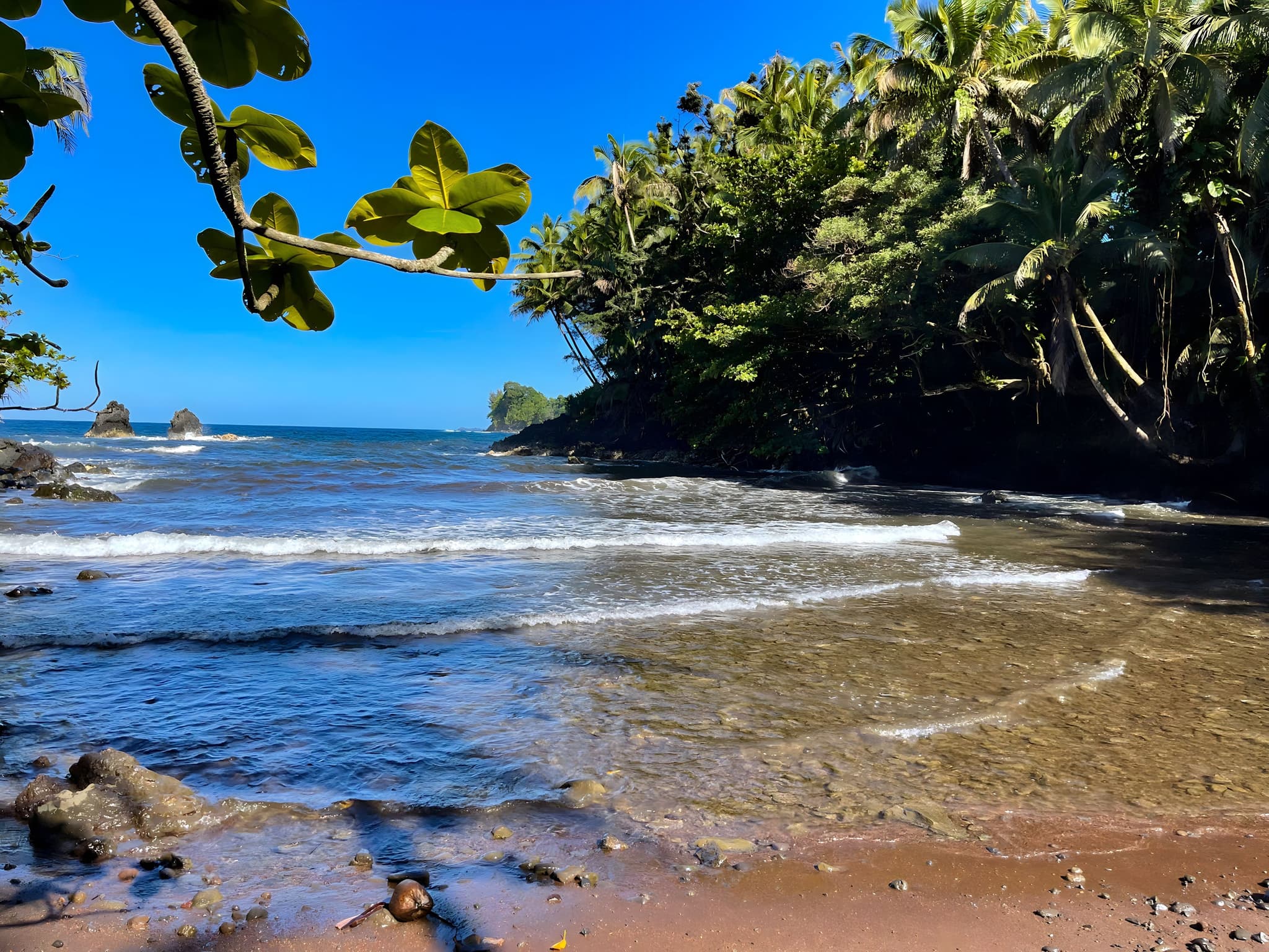 Private Custom Van Full Day Guided Tour - Big Island of Hawaii