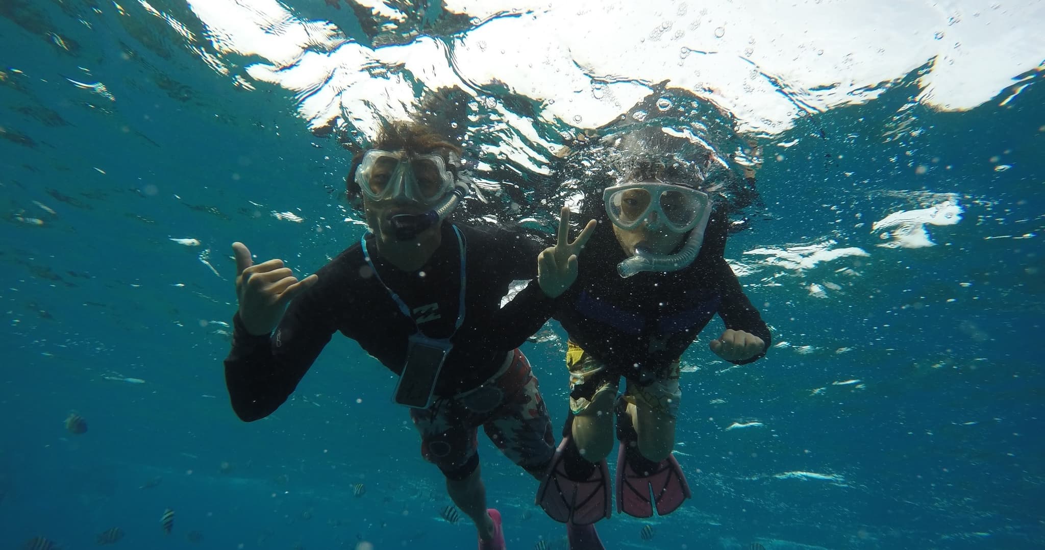 ハナウマ湾シュノーケリングツアー