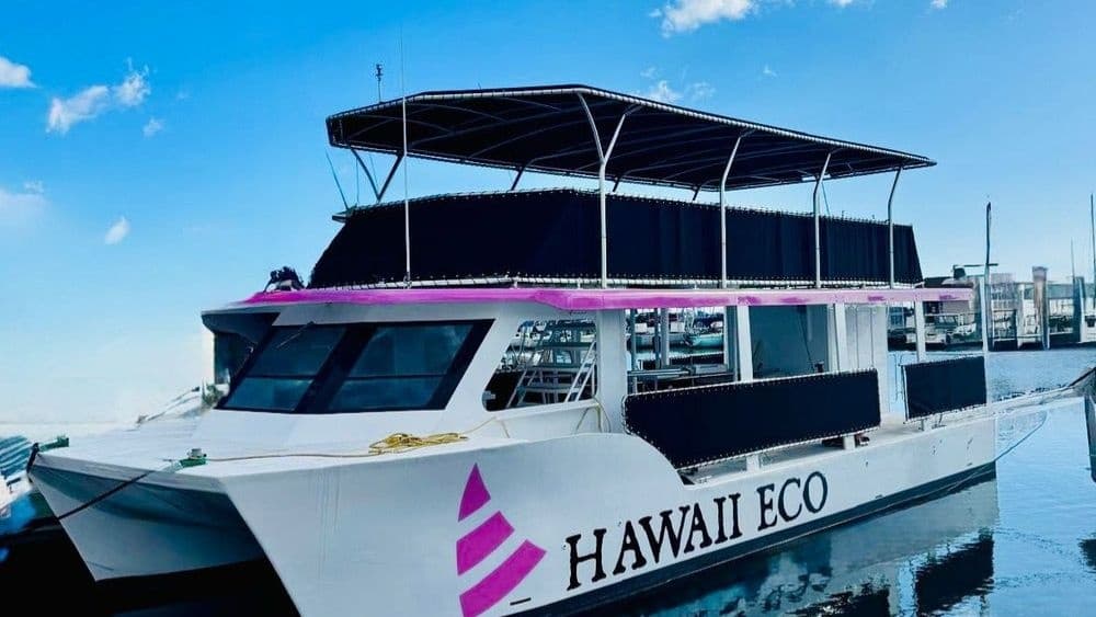 Friday Night Fireworks (Hawaii Eco)