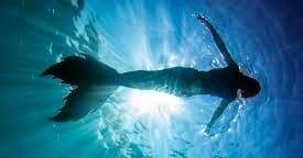 Ocean Mermaid