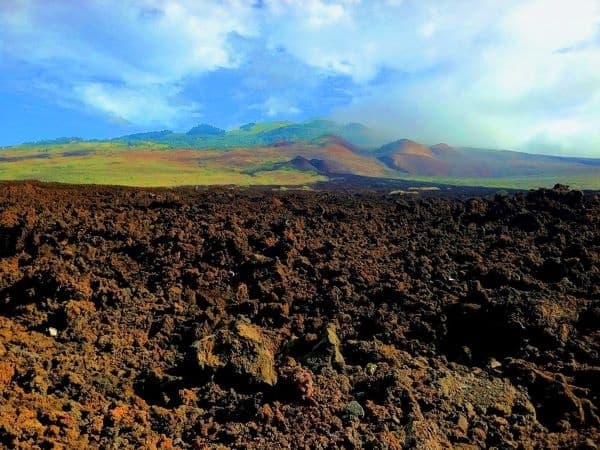 The Maui Island Tour, Private Charter