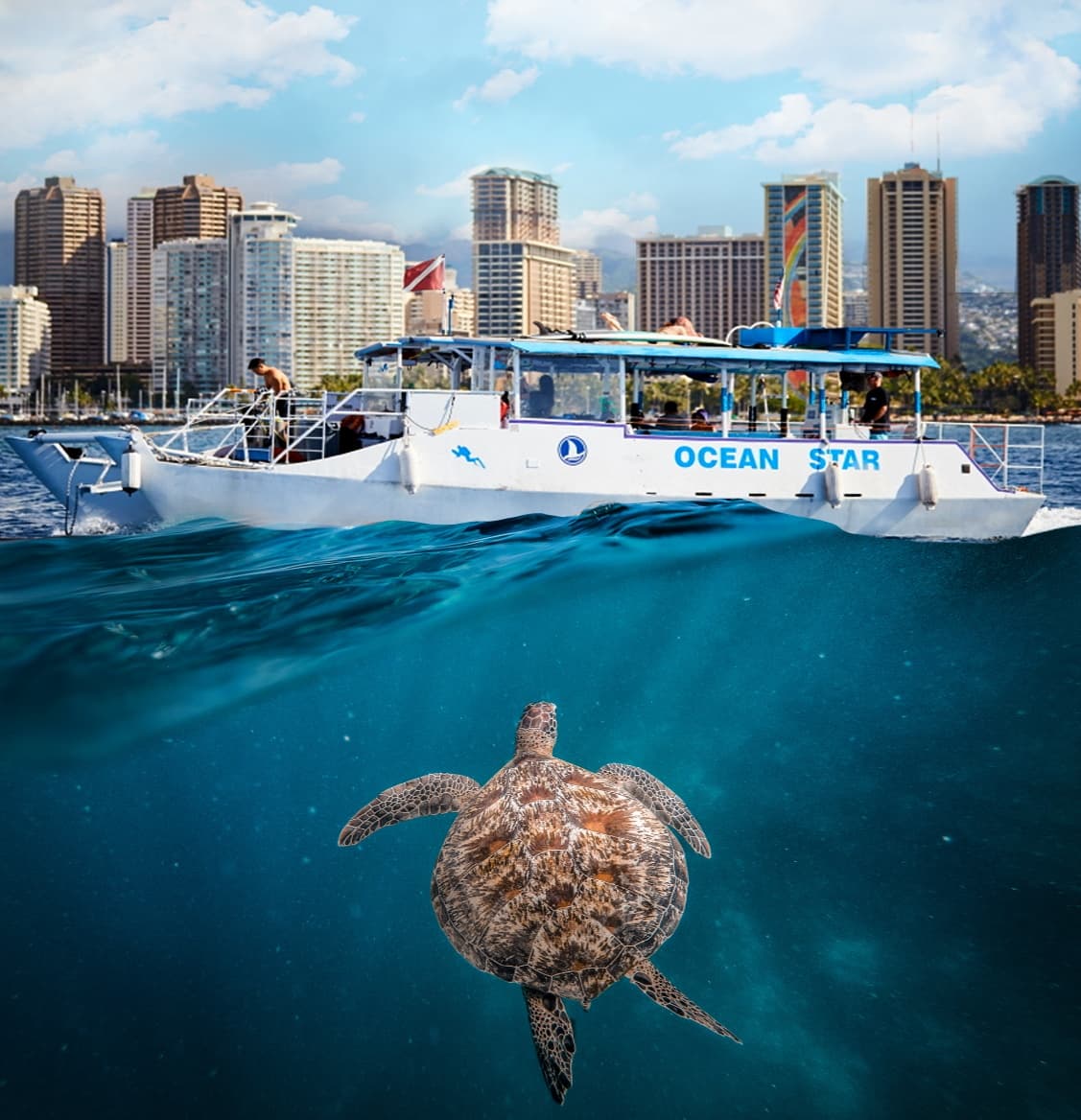 Waikiki Turtle Snorkeling Tour *Surprise Gift*