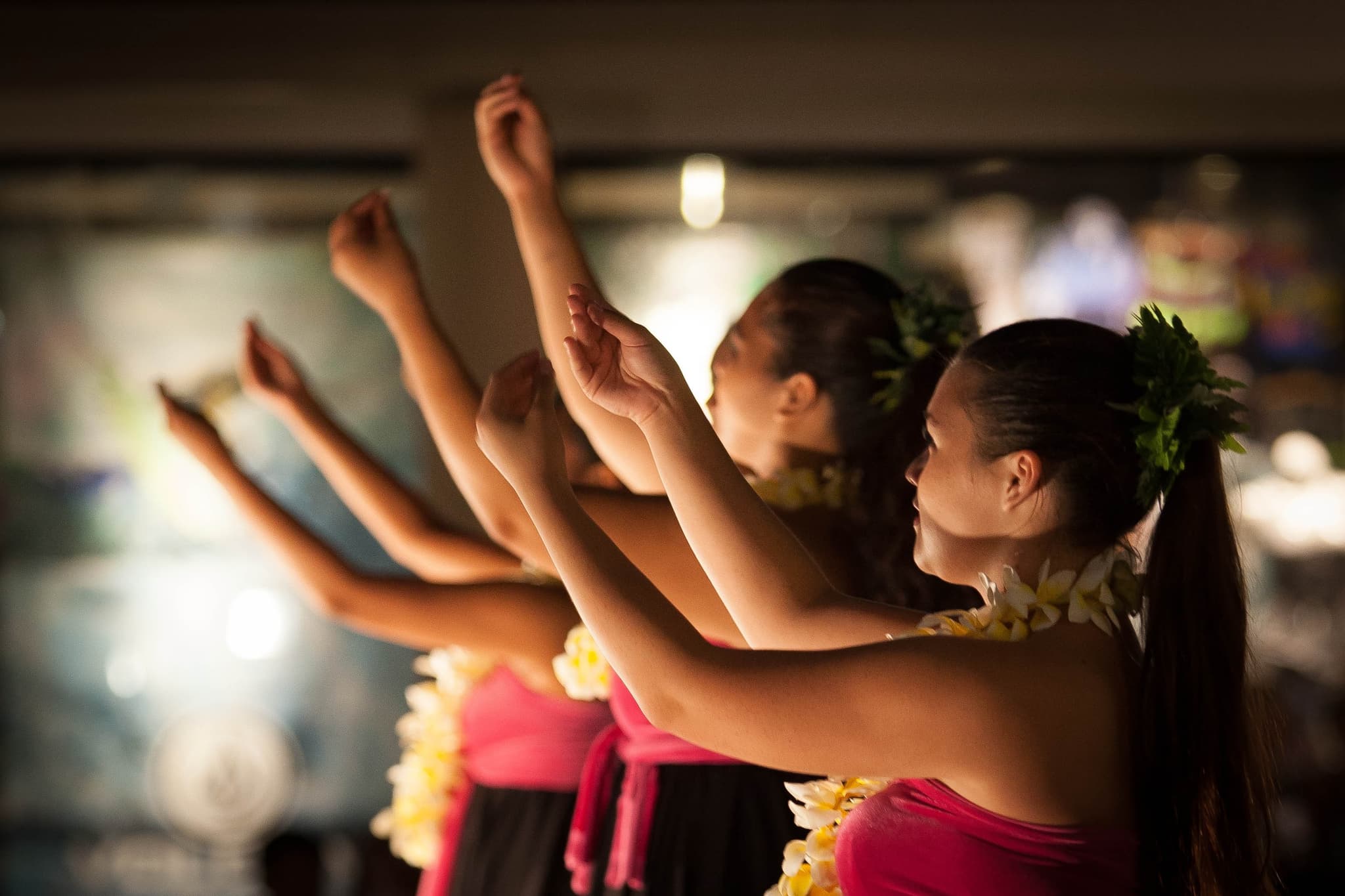 Hawaiian Language and Hula Immersion Program:  3 Day Interactive Tour