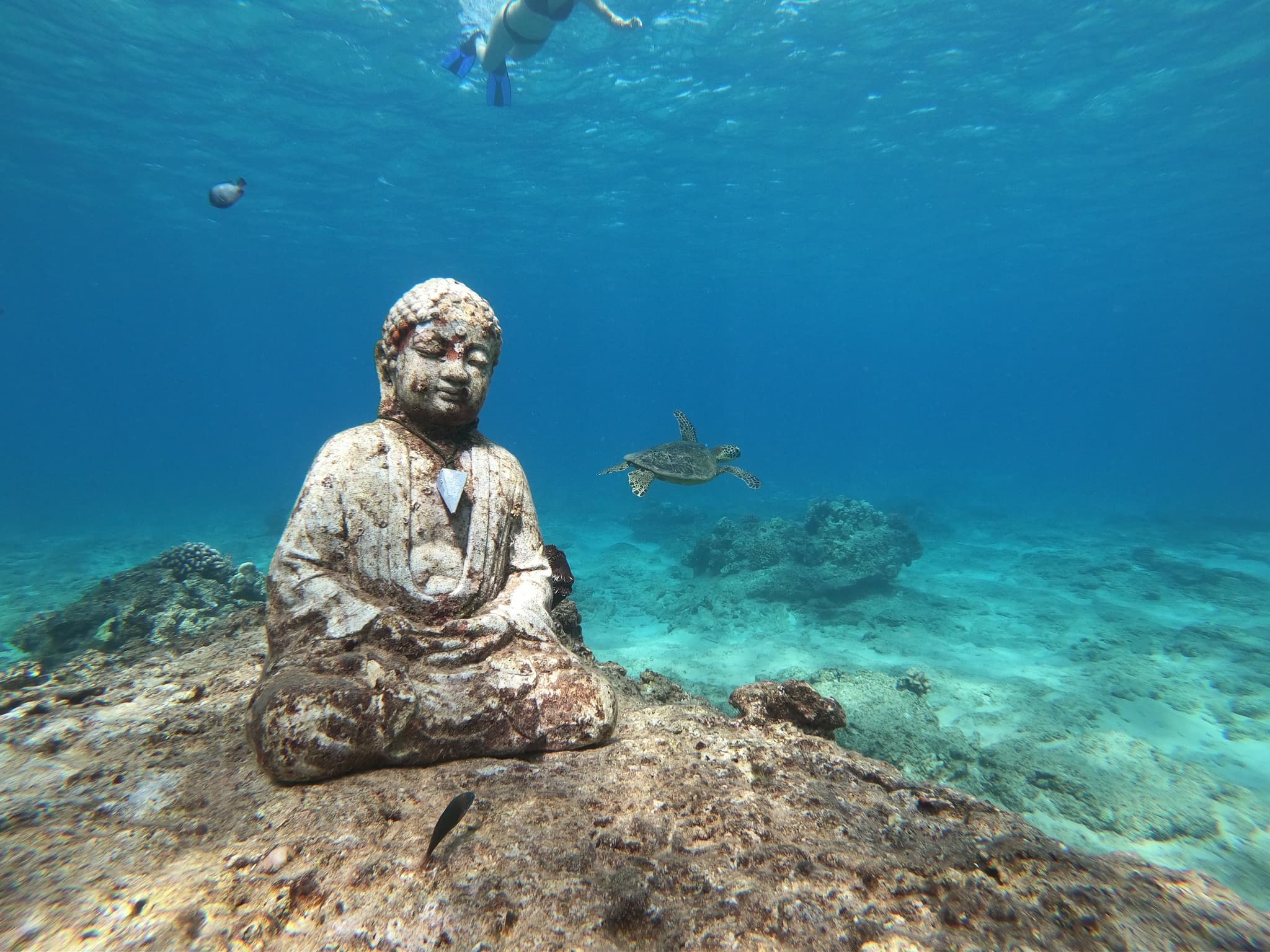 Full Day Adventure Retreat