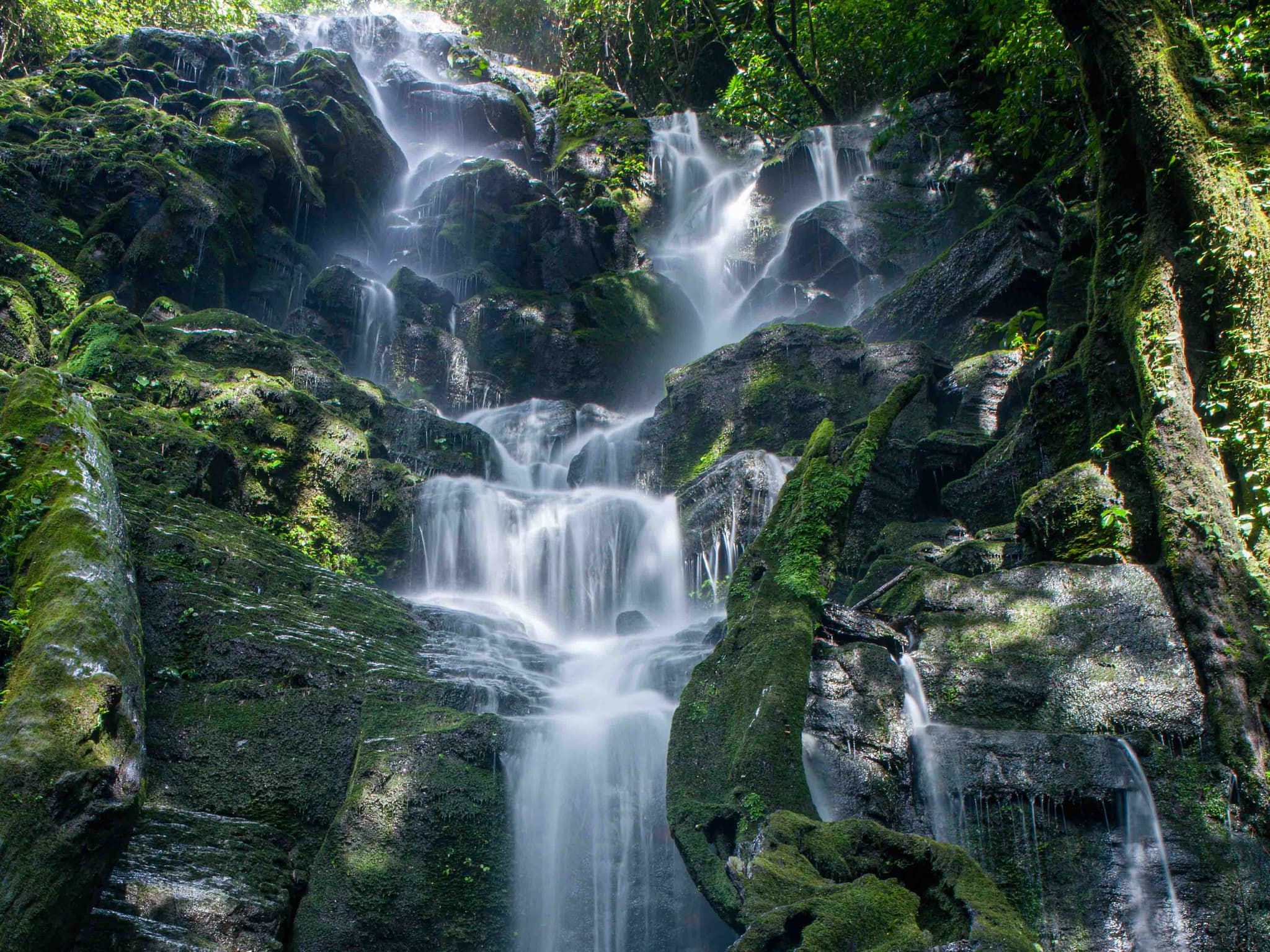 Road to Hana Halfway & Haleakala National Park Tour - The Best of Maui!