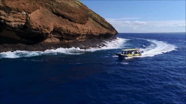 Maui Whale Watching Tour