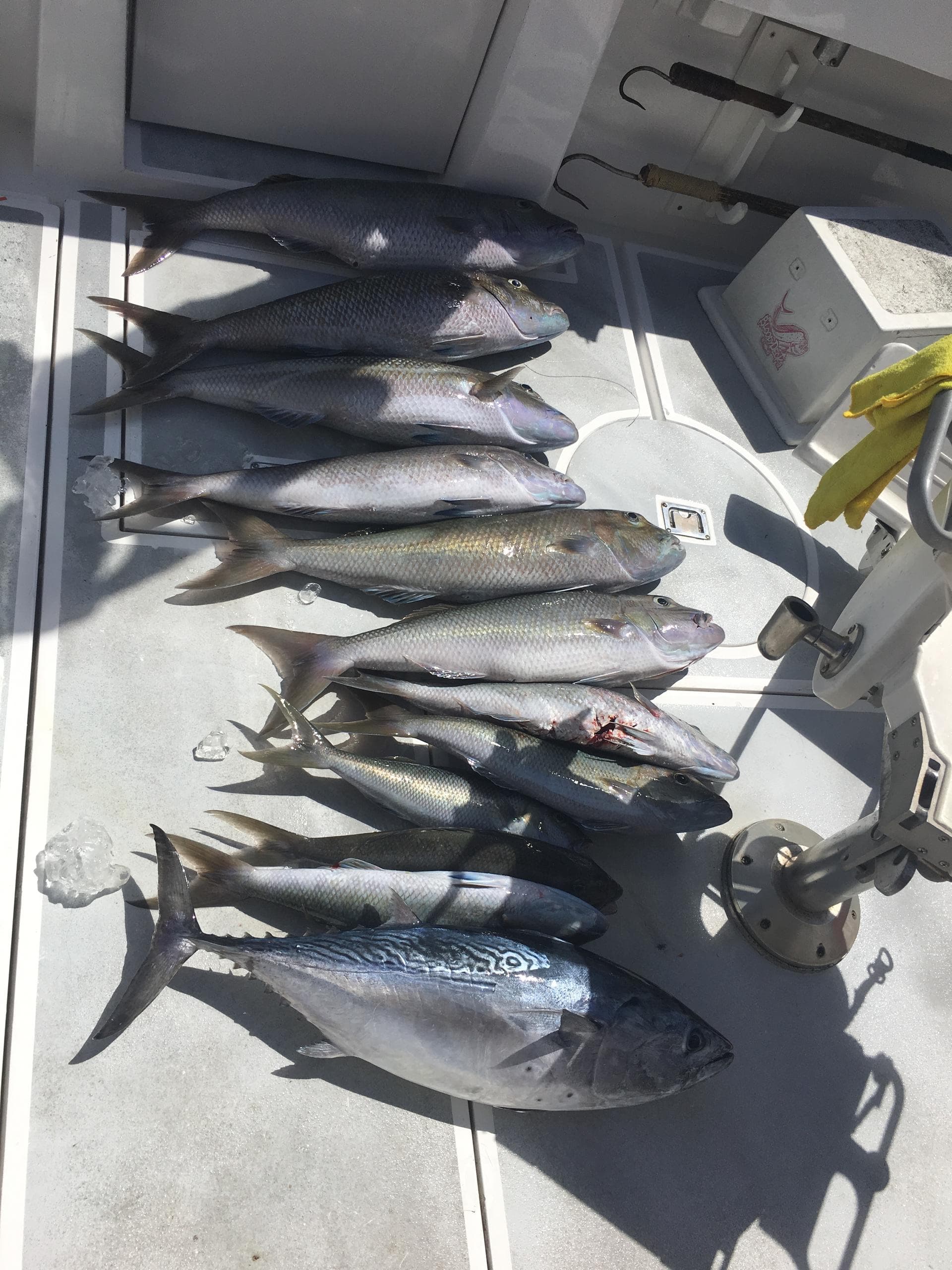 3/4 Day Shared Fishing Charter