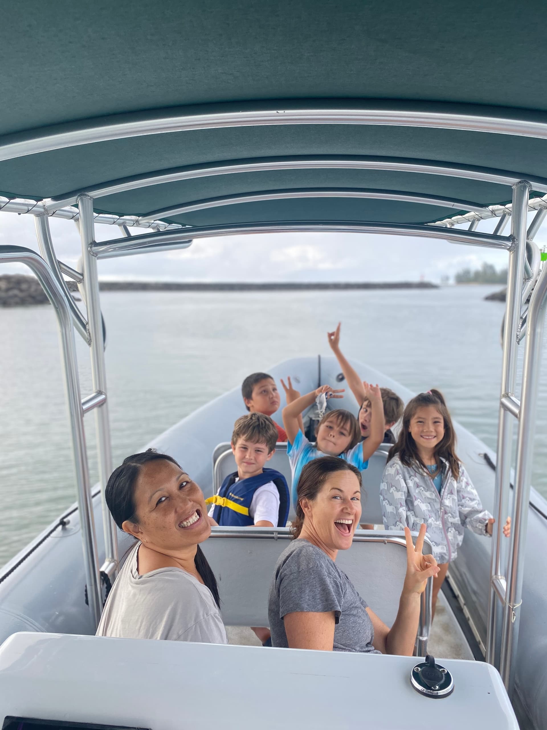 1.5 Hour Shark Adventure (No Swiming/Diving)