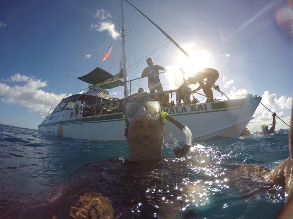 Snorkel With Turtles!  See Turtles GUARANTEED!