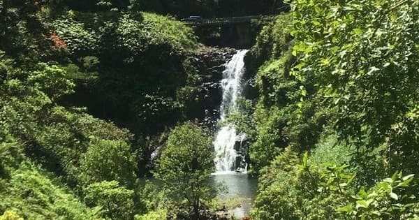 Half Day Hana Adventure: Luxury Expedition