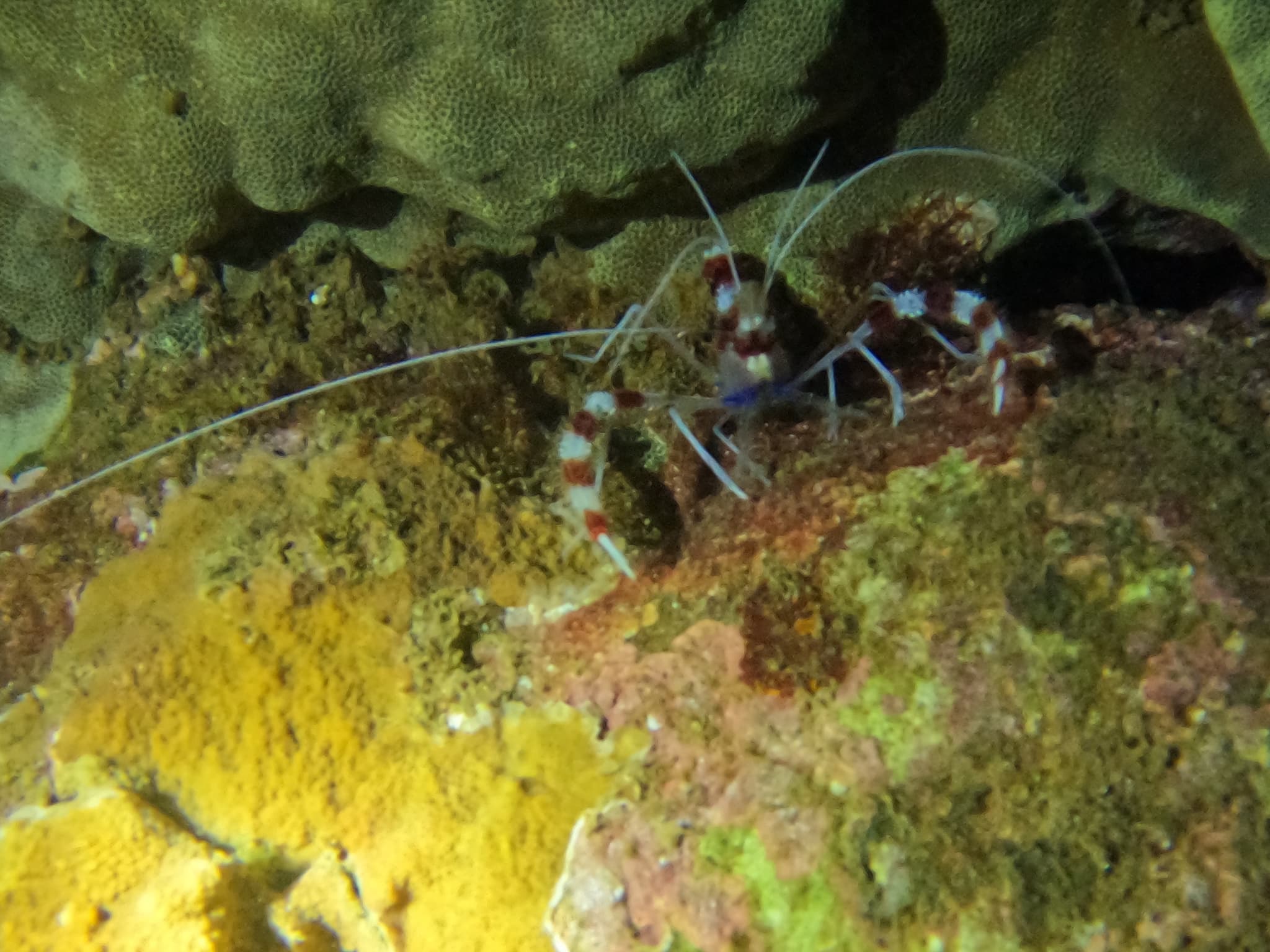 Ahukini Ocean Clean up