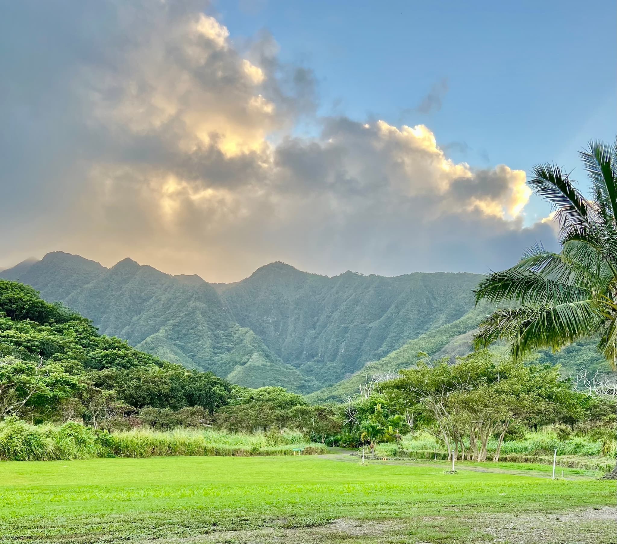 Kava drinking and Ti Leaf Weaving Experience