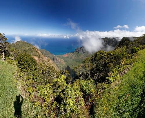 Waimea Canyon Tour - From Kauai (2nd van)