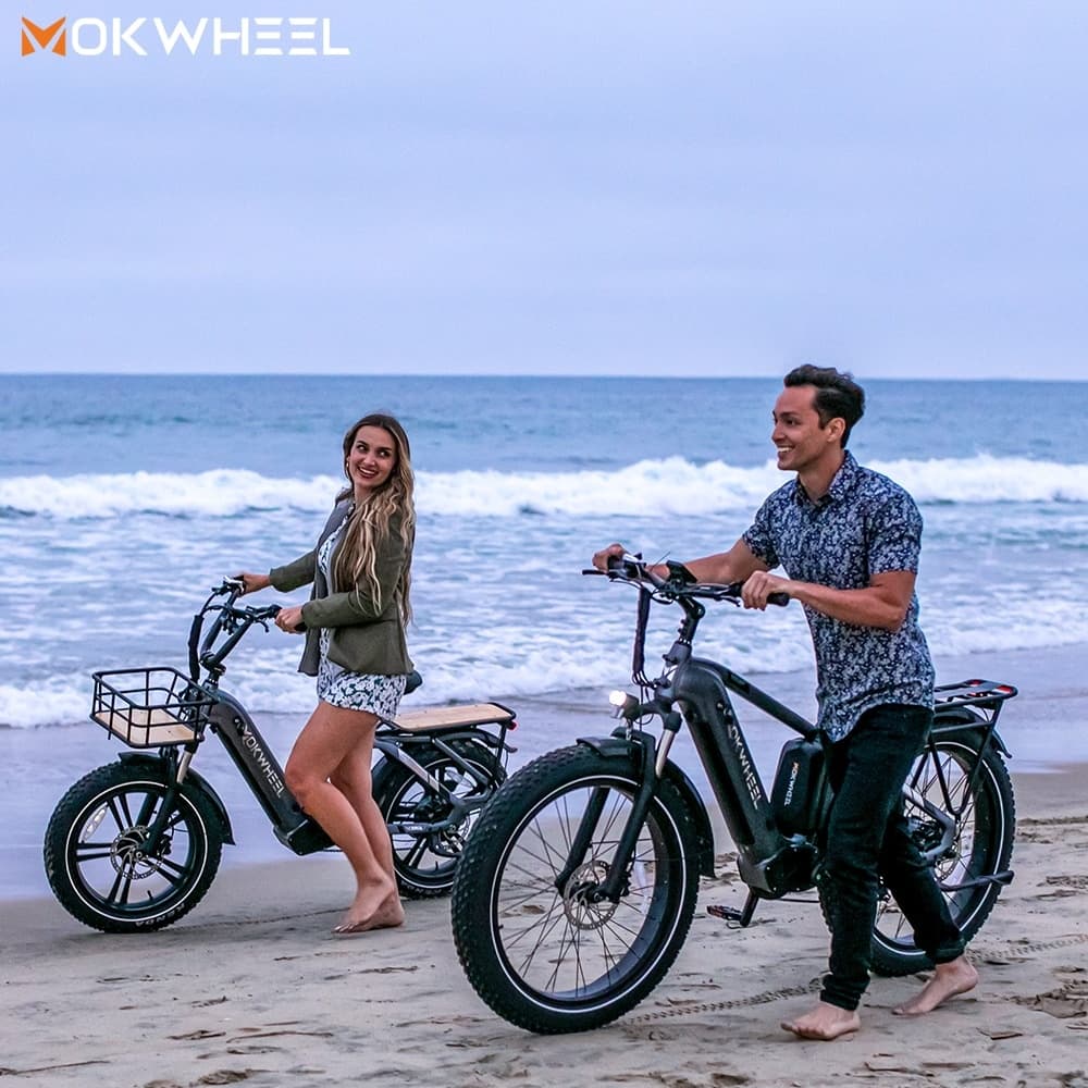 E-Bike Puna Lava Tour