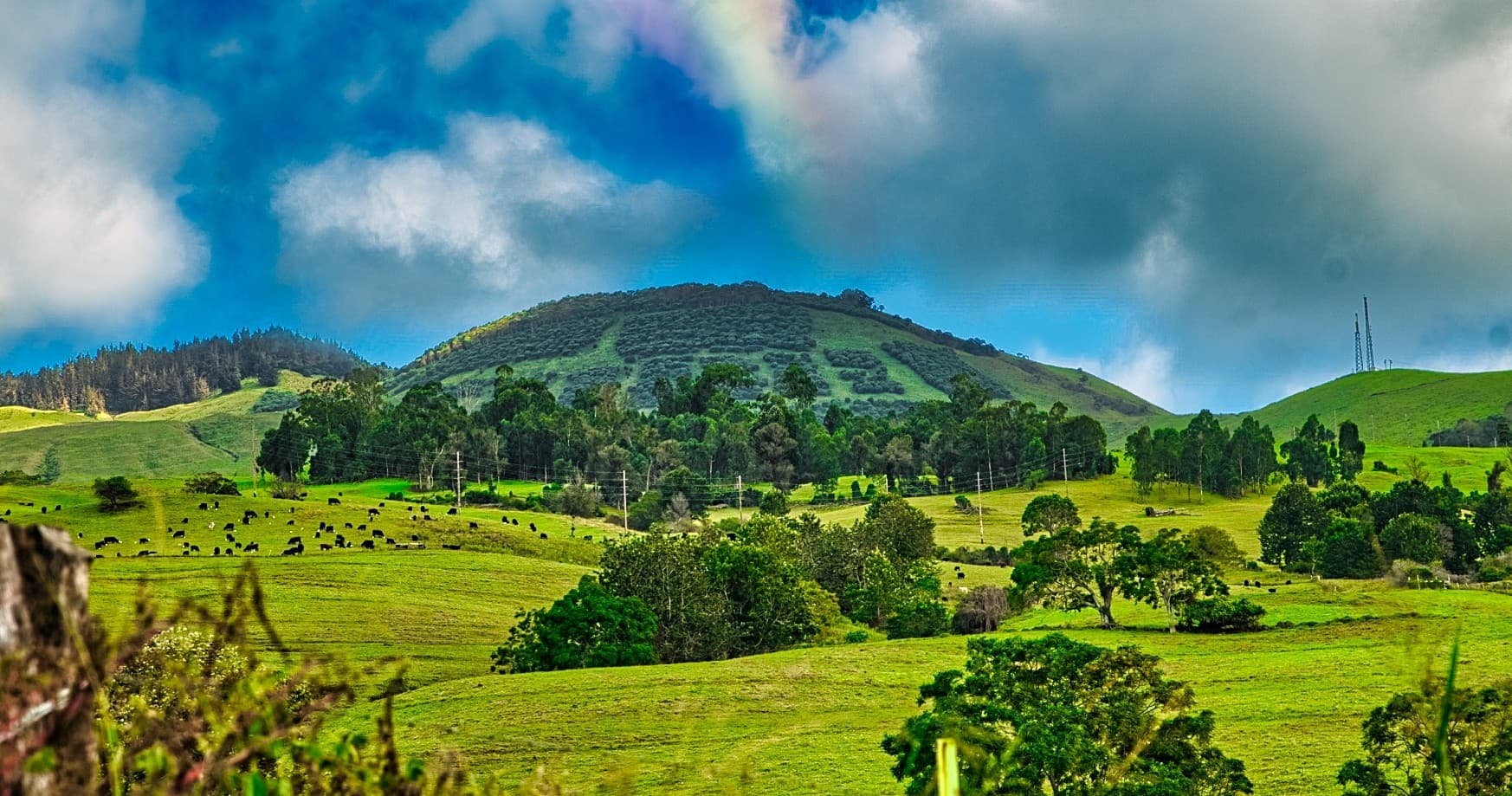 Private Upcountry Maui VIP Sunset Tour - Half Day