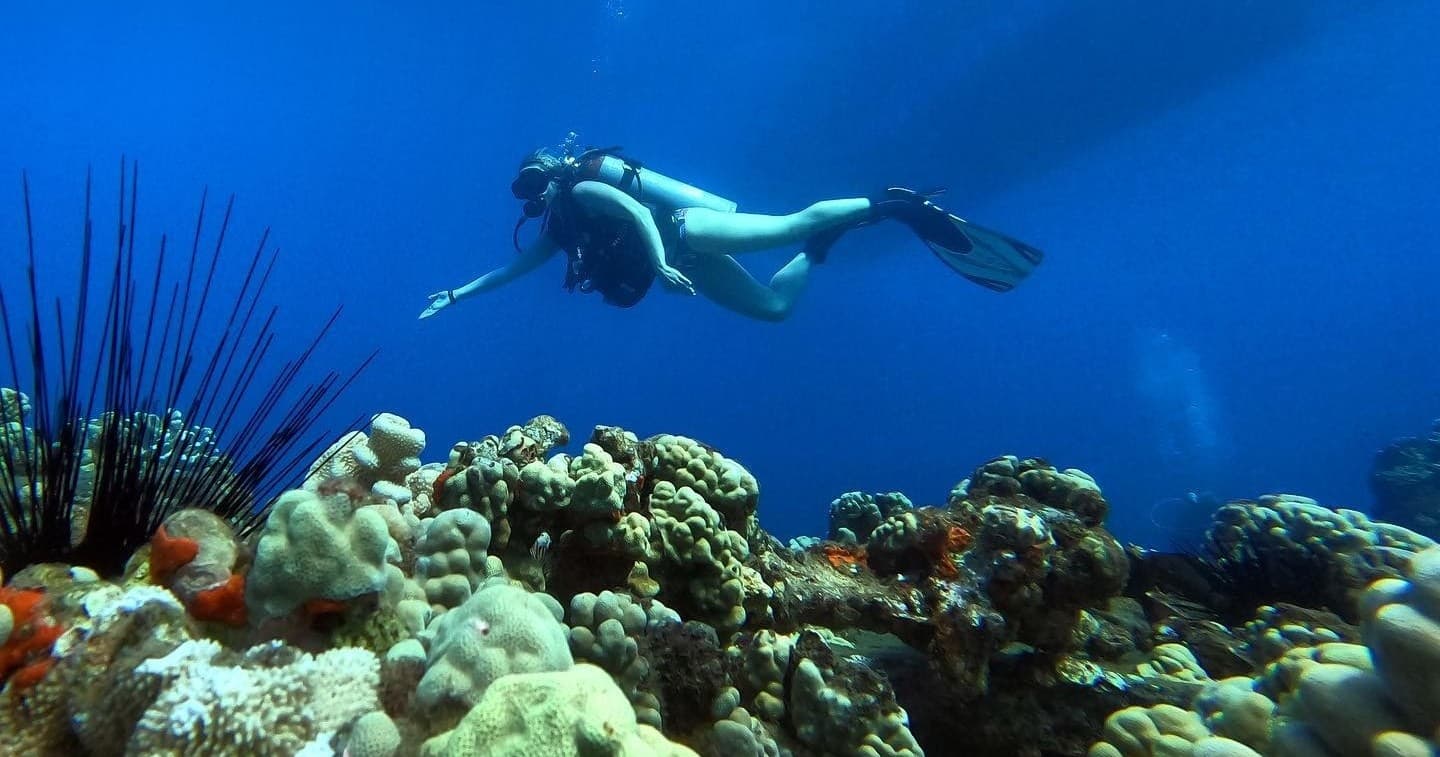 PADI Advanced Open Water Diver Certification Course