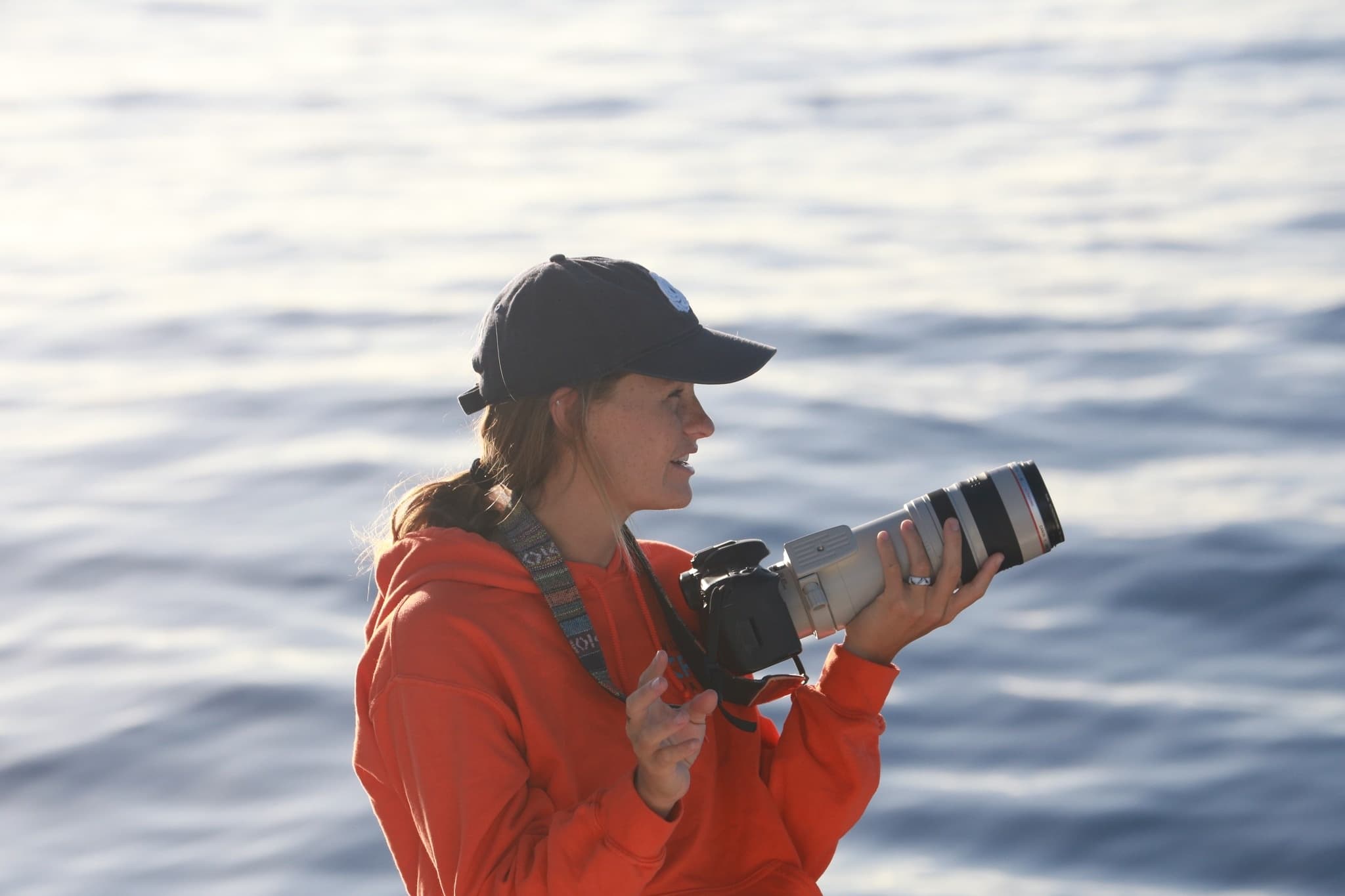 Wildlife in Depth - Shared Charter