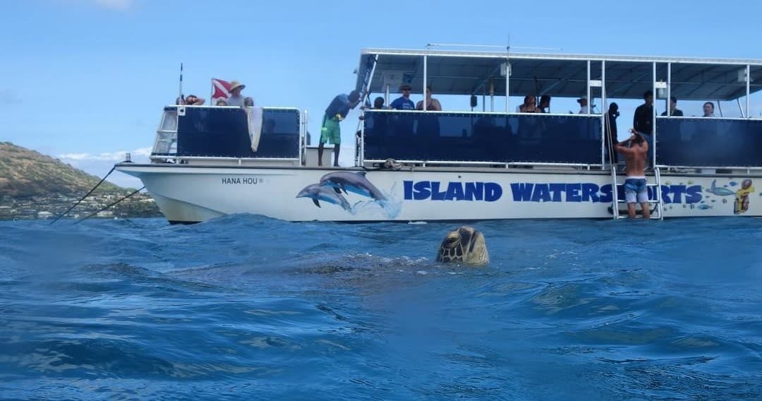 Turtle Snorkeling & Cruising Maunalua Bay Tour
