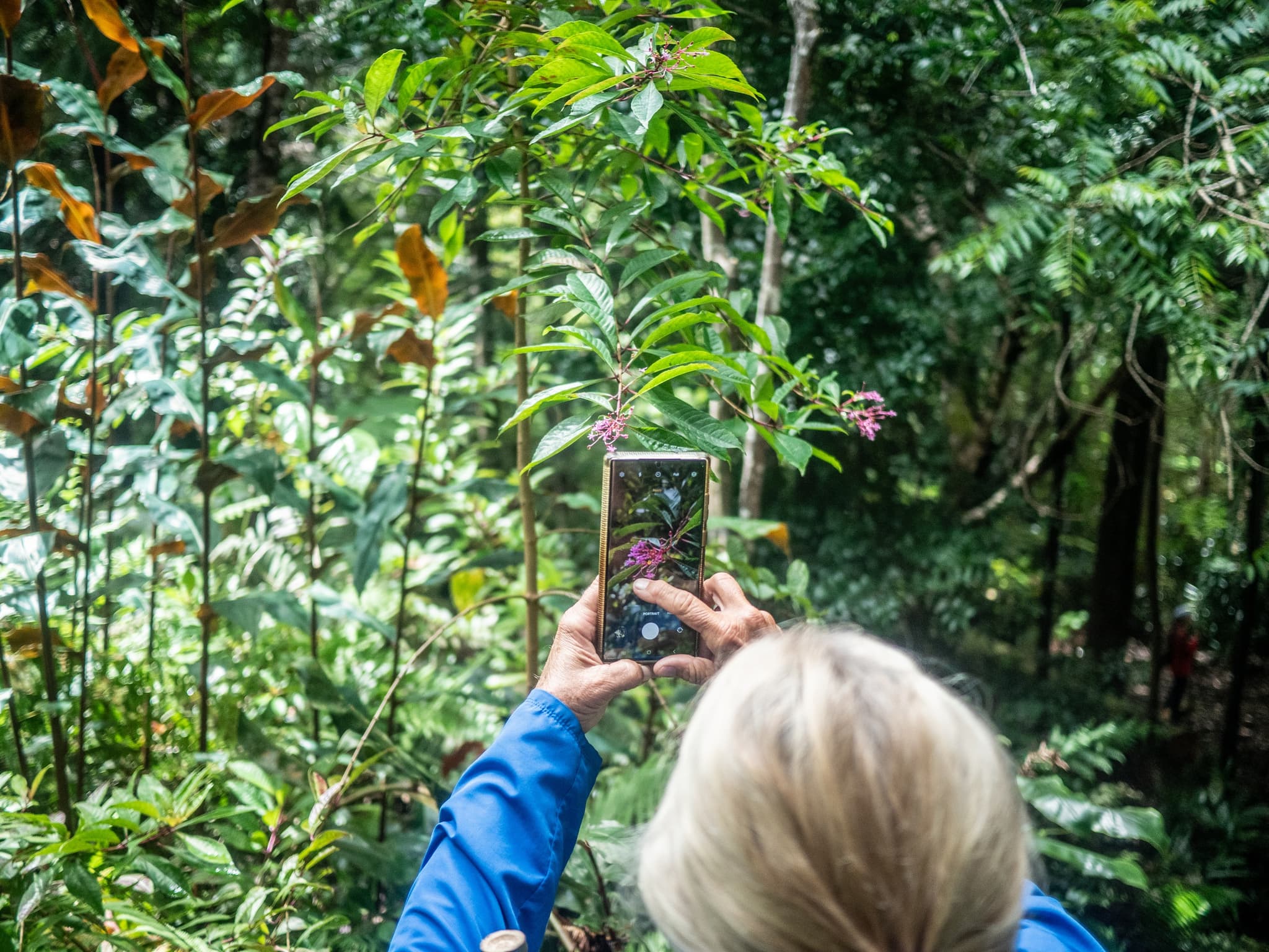 Sanctuary Snapshots: A Guided Photo Journey (Thursdays)