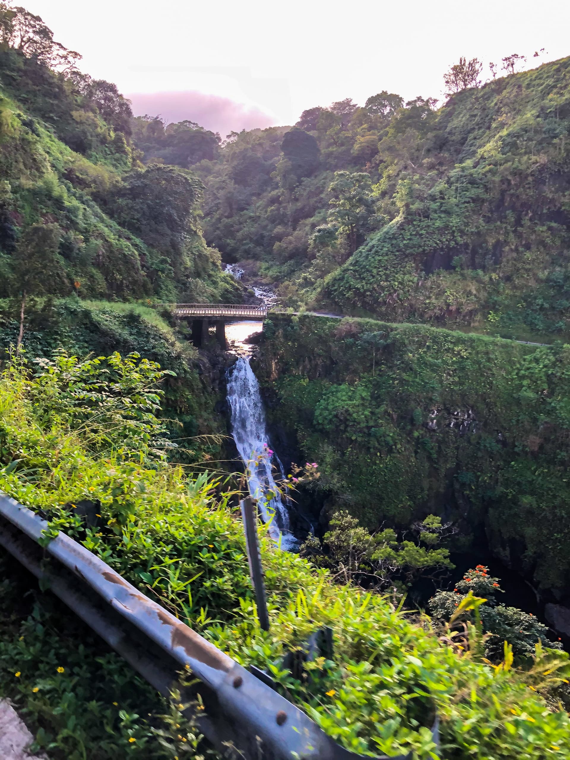 Luxury Full-Circle Road to Hana Tour - Shared