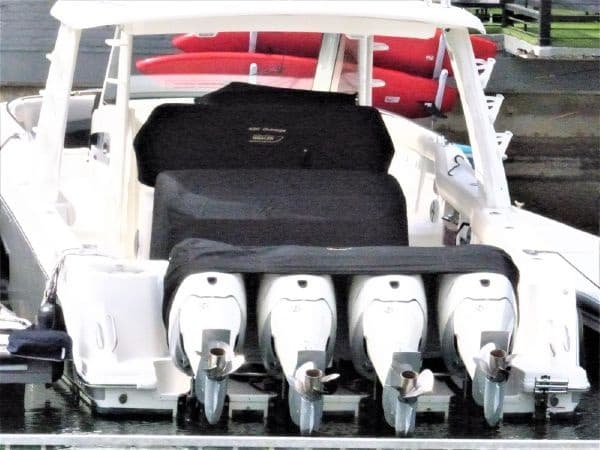 Maui Luxury Whale Watch