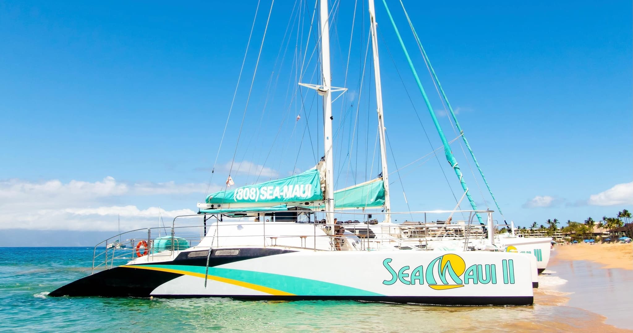 Afternoon West Maui Snorkel