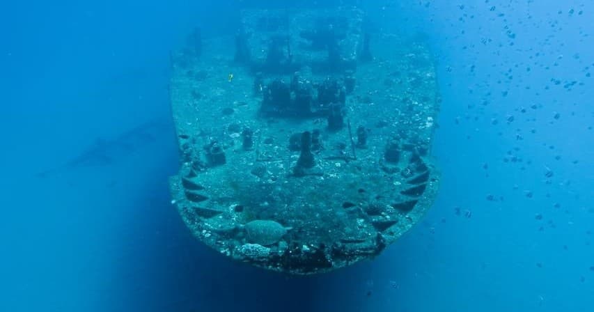 SeaTiger Shipwreck Free-Diving Tour