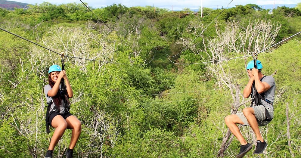 Six Zipline & Adventure Tower Package