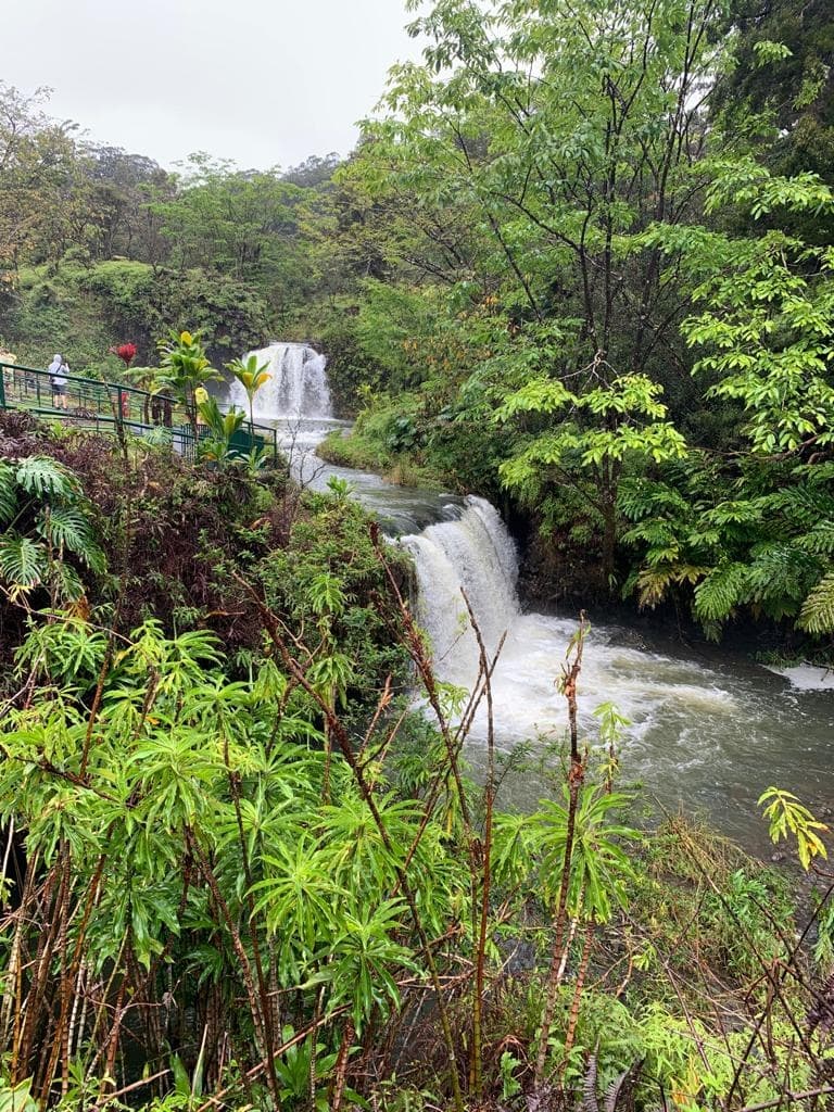 īao Valley Upcountry Vodka Tasting & Goat 🐐 Farm Tours