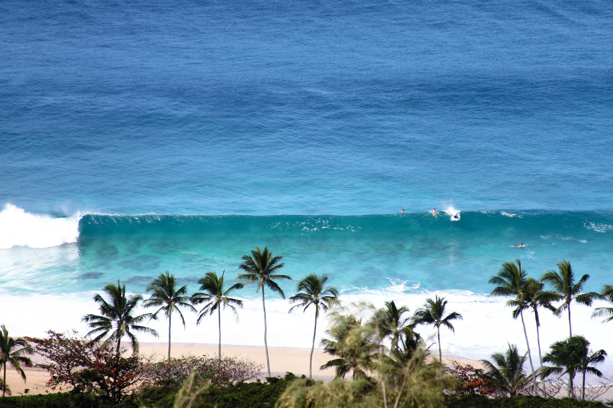 North Shore Surf Tour