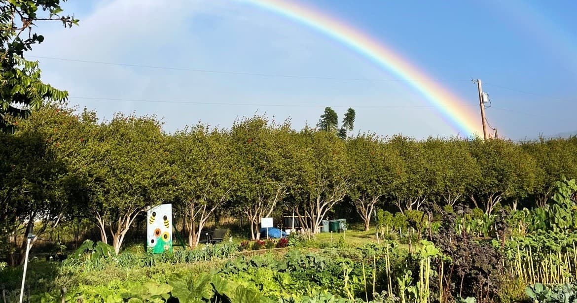 Regenerative Agriculture Farm Tour
