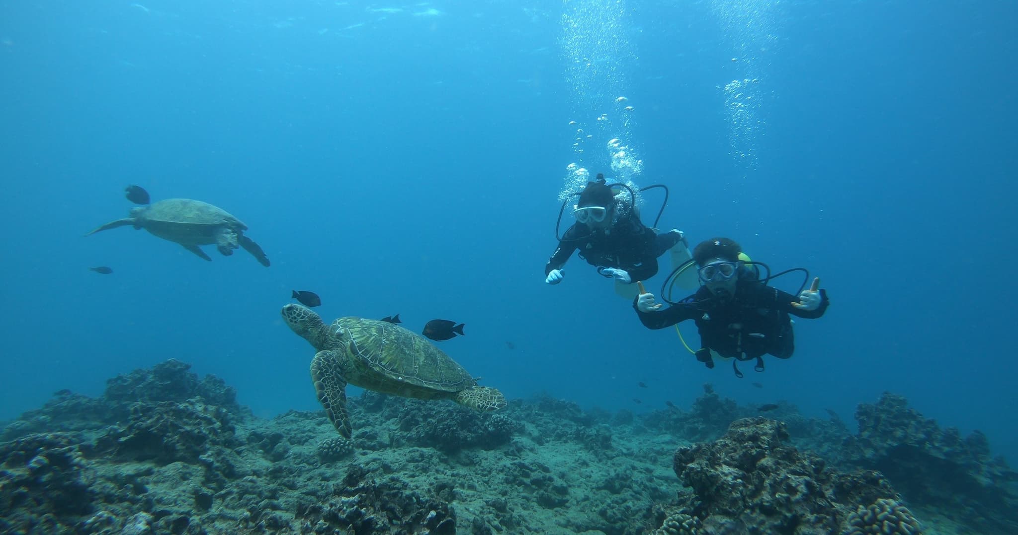 ボート体験ダイビング