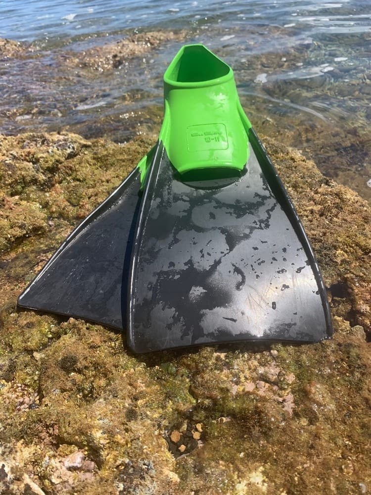 Snorkel Fins Only