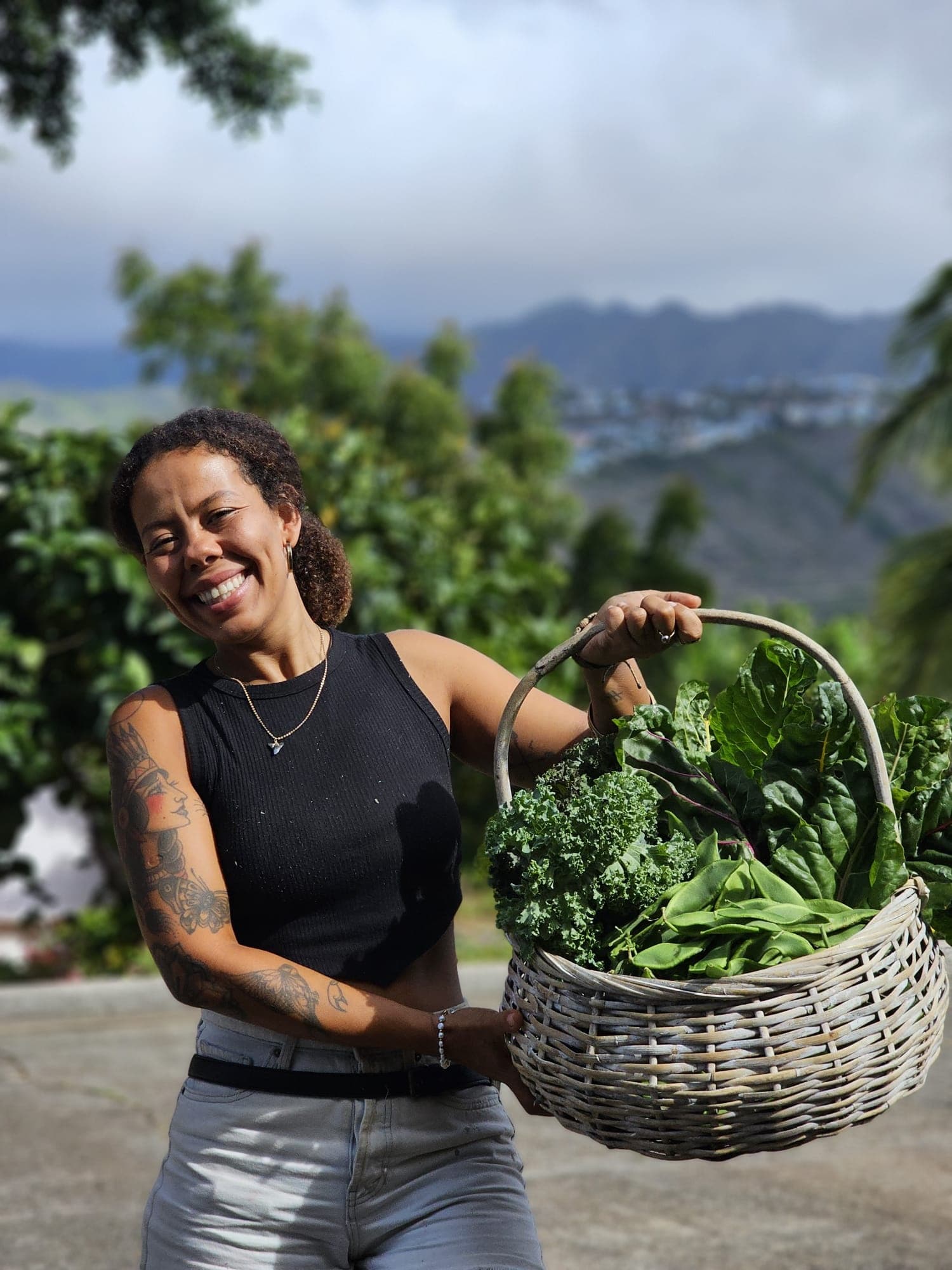 Sun Farm Tour Experience